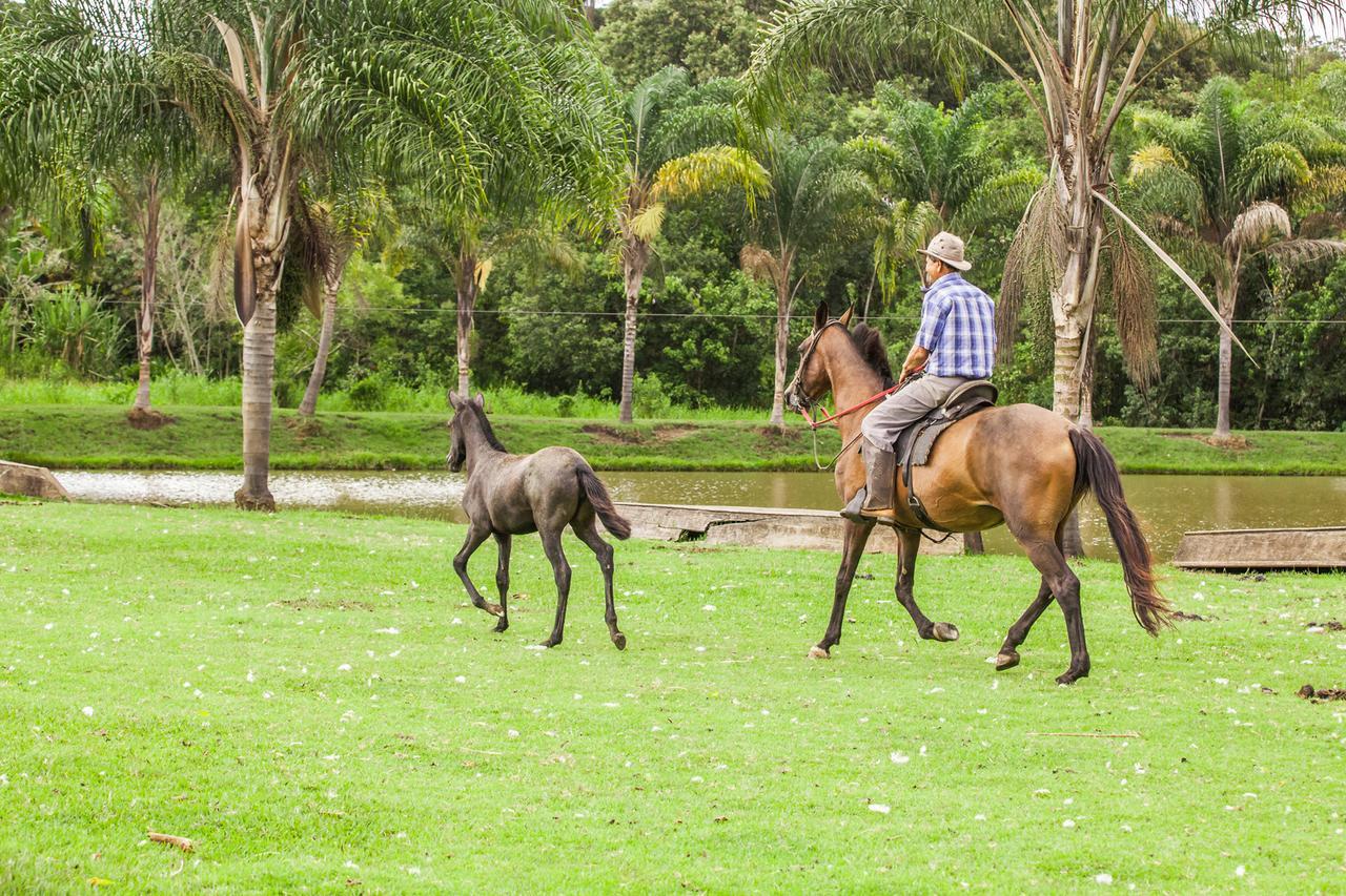 Hotel Fazenda Igarapes Экстерьер фото